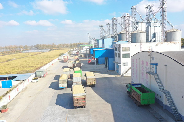 1762330755121191.jpg QQ图片20251105144331_副本.jpg