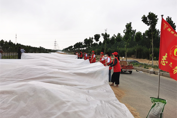 1591775417117769.jpg QQ图片20200610152921_副本.jpg