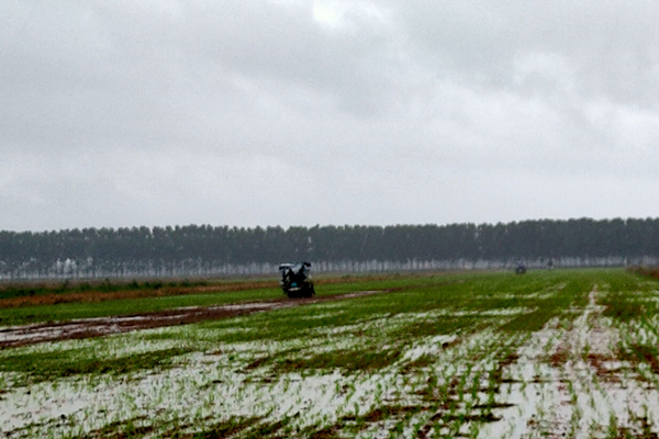 1592470350105763.jpg QQ图片20200618075926_副本.jpg