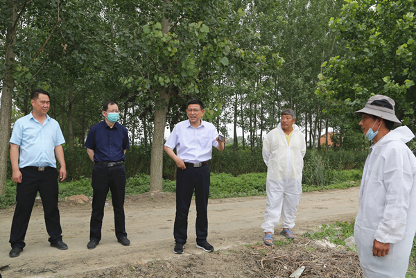 1593424539675426.jpg AK4A8891_副本.jpg