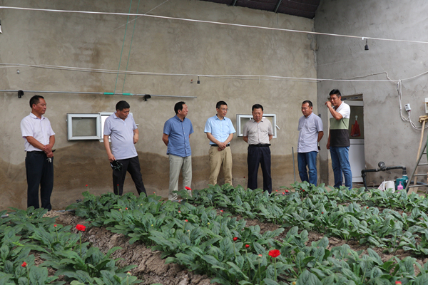 1594205162344856.jpg IMG_0161_副本_副本.jpg