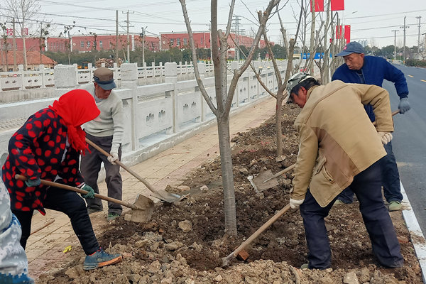 1595234286919847.jpg 质量1_副本.jpg