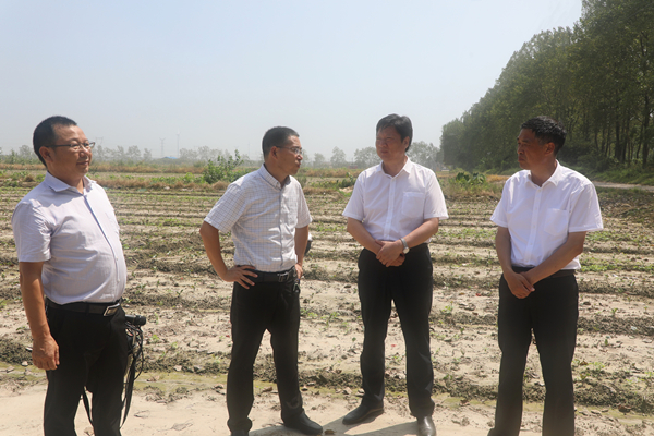 1597909816828576.jpg IMG_2050(20200820-102954)_副本.jpg