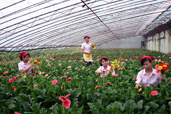 采花女在采花_副本.jpg