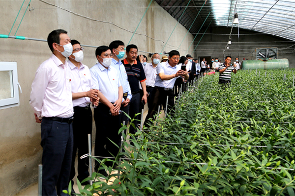 1606705557135872.jpg AK4A7040_副本.jpg