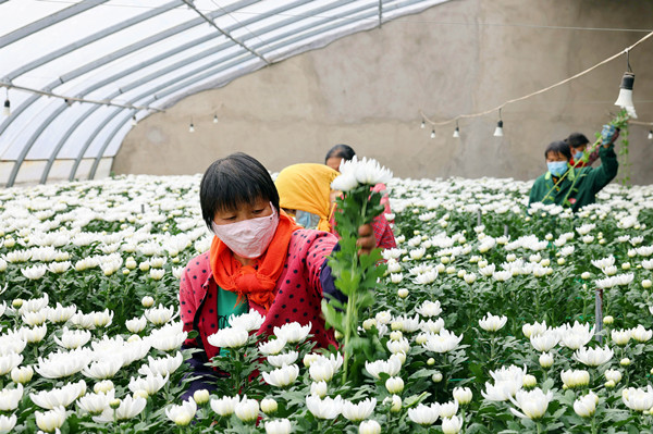 7Z6A5898_毒霸看图_副本_副本.jpg