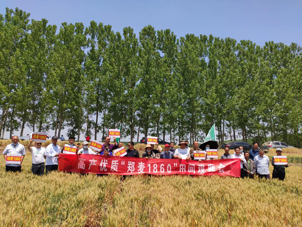 图片4_副本.png