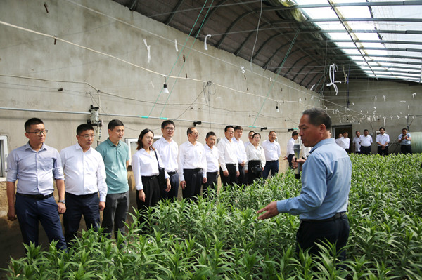 1664271398516946.jpg 3Q4A9138_副本_副本.jpg