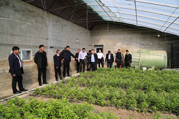 1680858723913580.jpg AK4A1383_副本.jpg