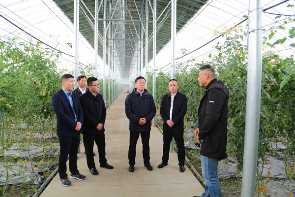 1682502119247959.jpg AK4A2351_副本.jpg