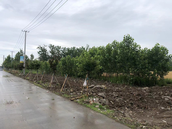 1686033637174828.jpg 微信图片_20230605113151_副本.jpg