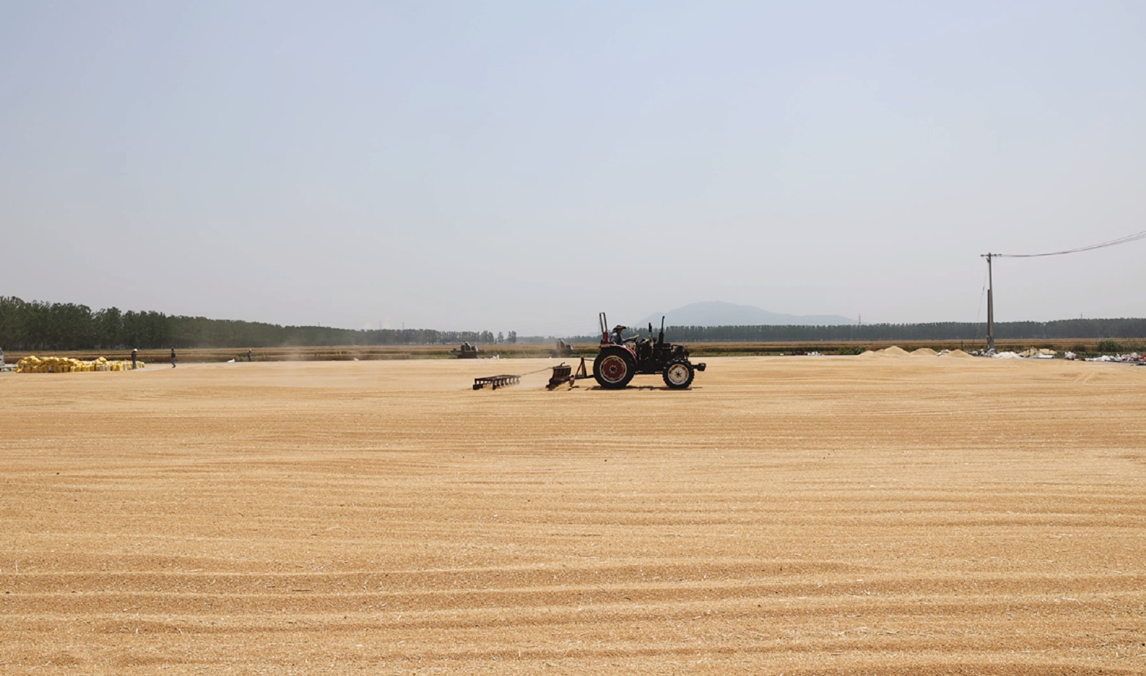 1686397262583762.png 1686397262583762.png