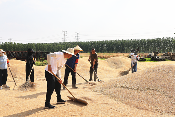 1686397366232720.png 833F3V9{{I%6}P@@F7LHY6P_副本.png