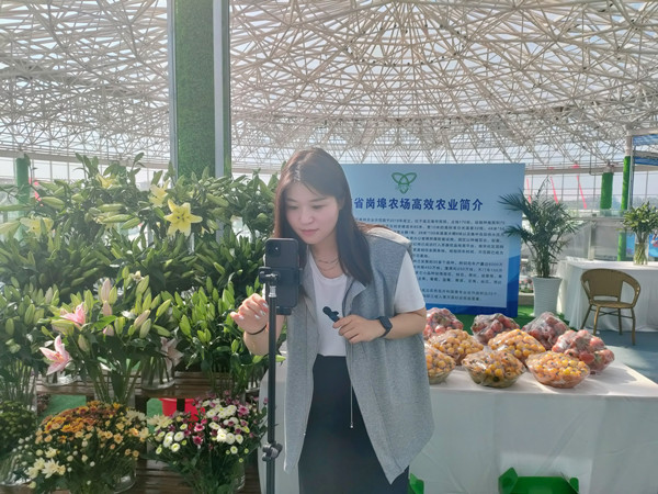 1686469224665999.jpg 副本.jpg