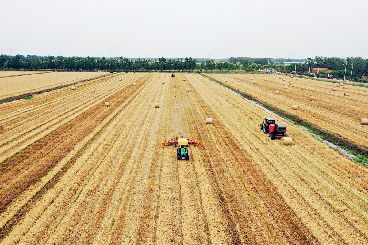 1686614036131277.jpg 1686614036131277.jpg