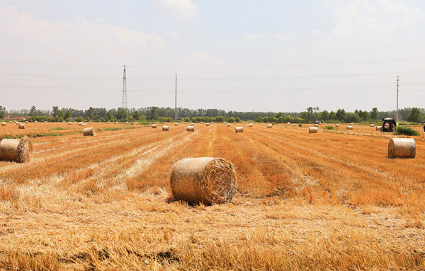 1686614062280319.jpg 7Z6A3094_副本3.jpg