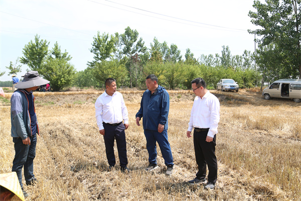 1686615515959369.jpg AK4A8053.jpg