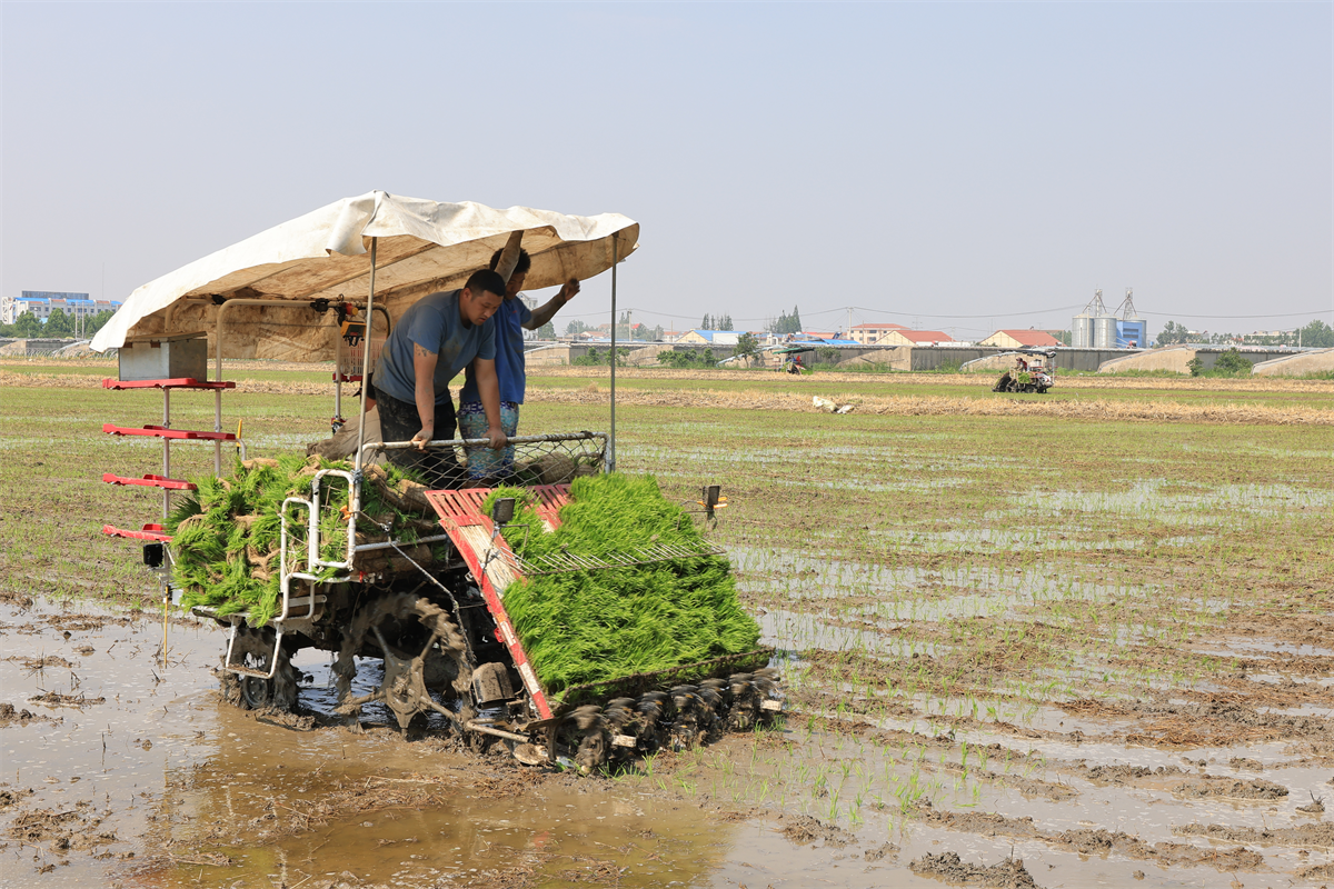 1686645089630201.png 1686645089630201.png