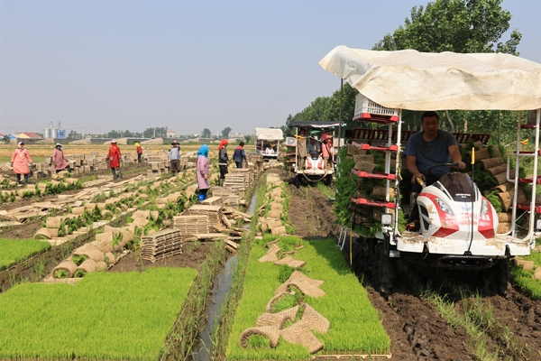 1686645183322653.png 85NX7UP3S5E33Z8~(CV8CVD_副本_副本.png