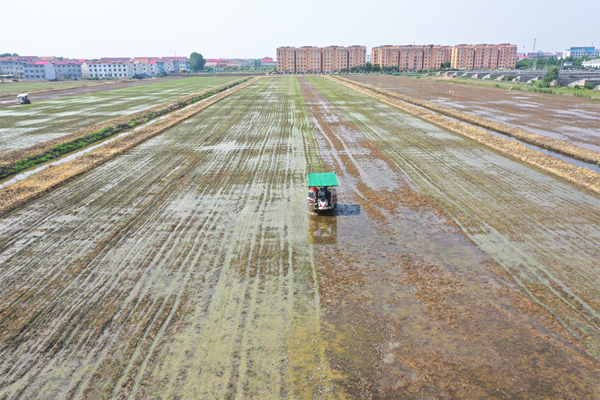 1686645231373382.png UQ(H()0_PRO(VM7HLBYG(_C_副本_副本.png