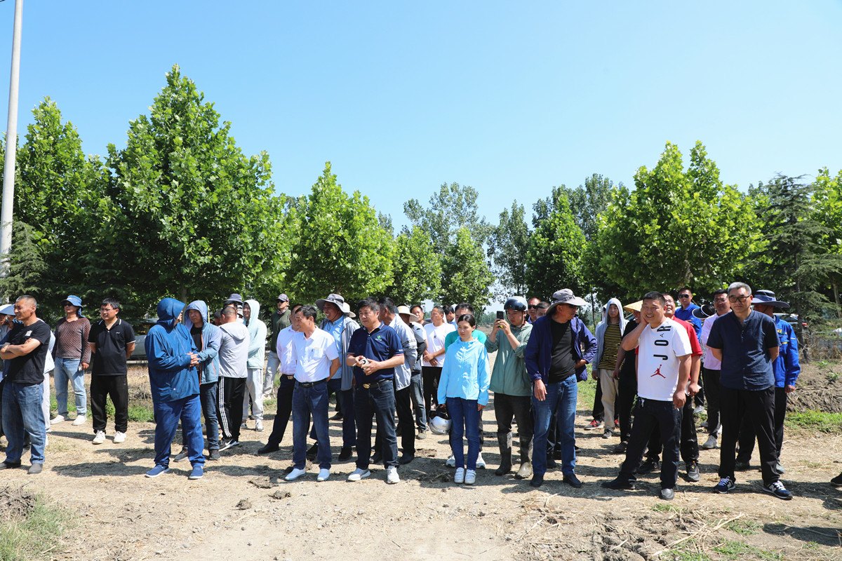 1686726558627891.jpg 1686726558627891.jpg