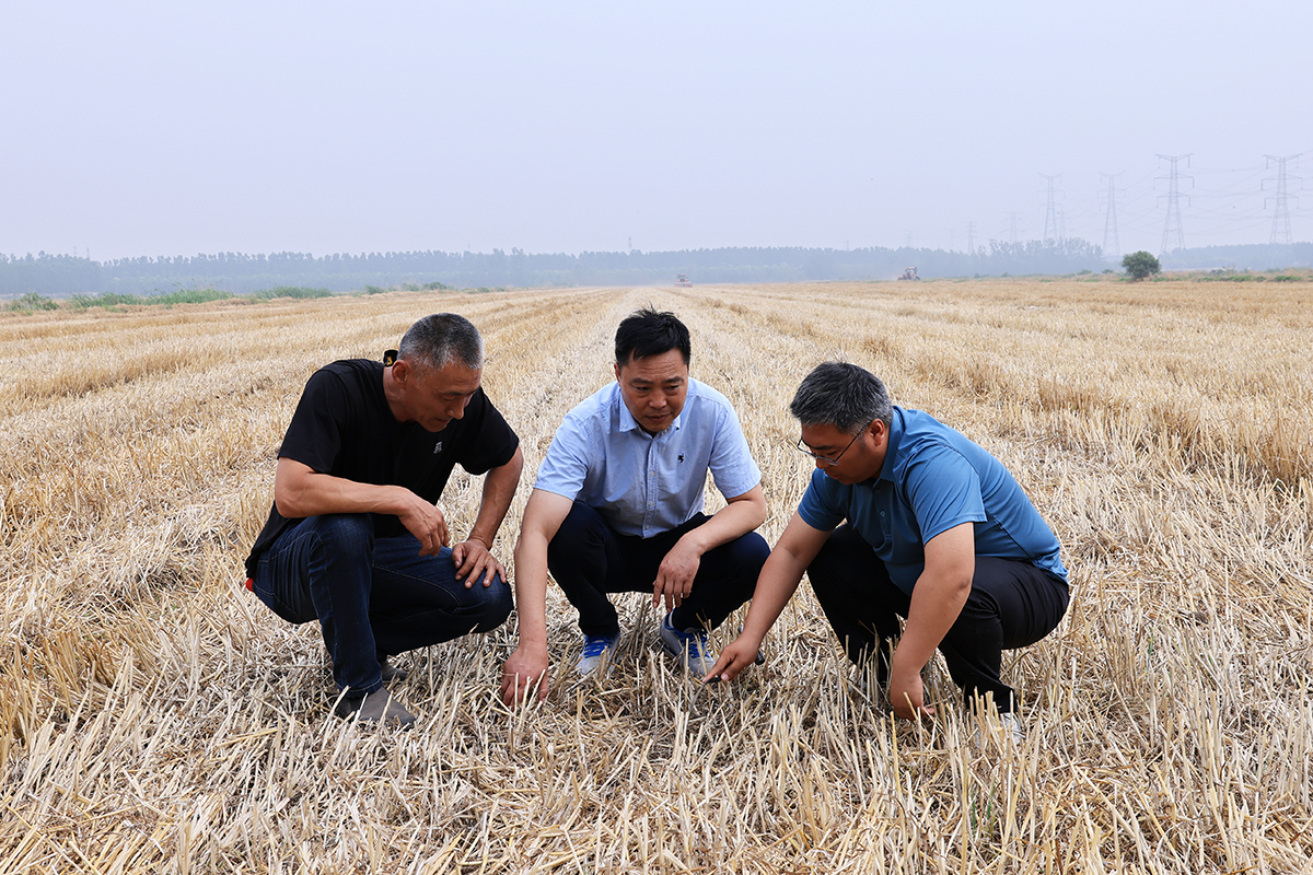 1687048411731573.jpg 1687048411731573.jpg