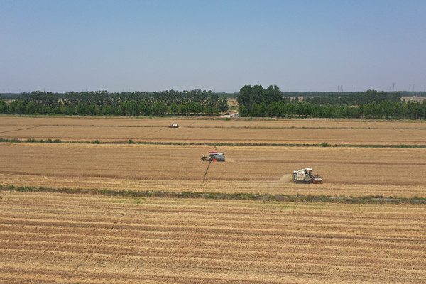 1687593461601868.jpg DJI_0328_副本_副本.jpg