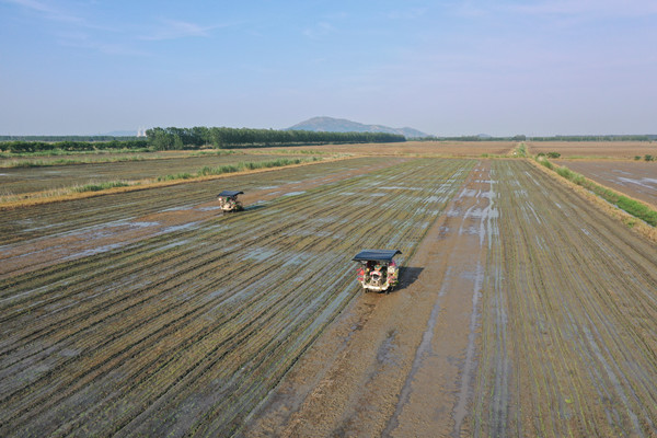 1687593467795859.jpg DJI_0617_副本_副本.jpg