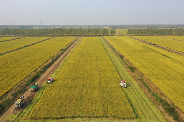 DJI_0434_副本.jpg
