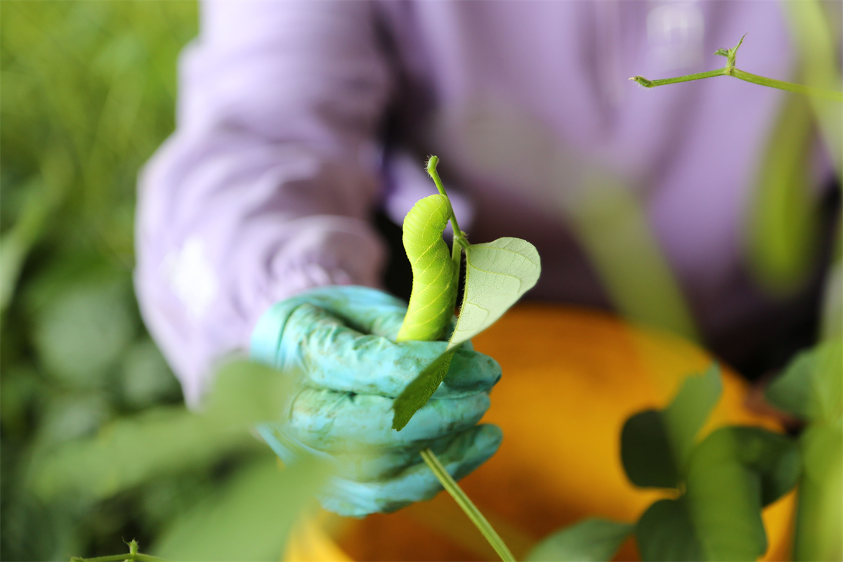 1713949564262699.jpg 1713949564262699.jpg