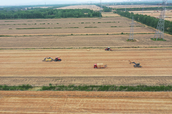 DJI_0037_副本.jpg