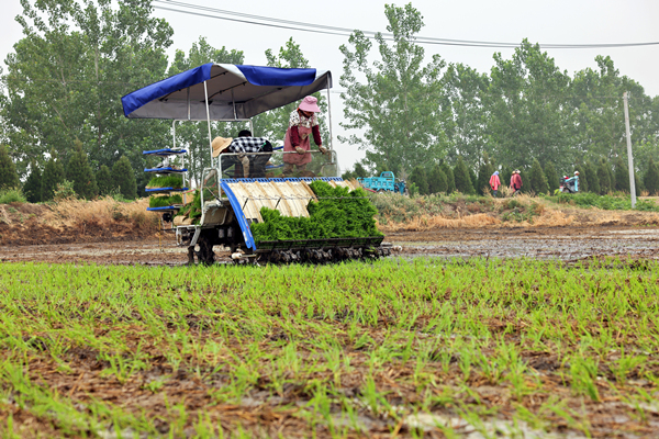 7Z6A8197_副本.jpg
