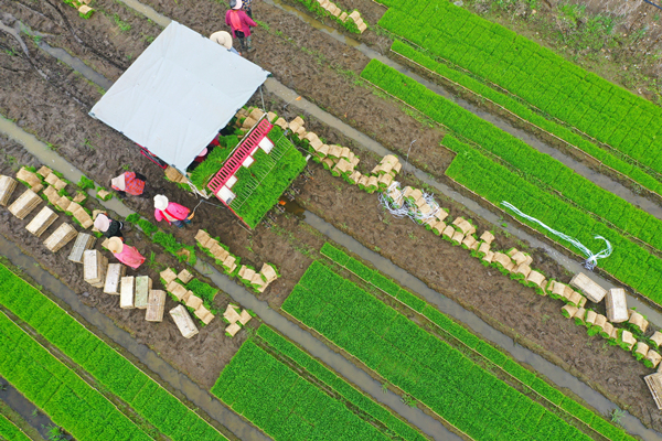 DJI_0736_副本.jpg