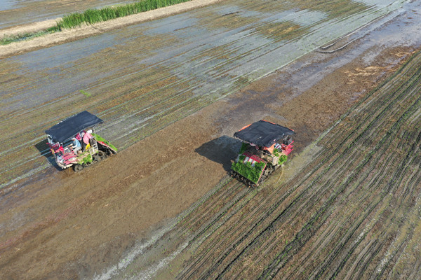 DJI_0879_副本.jpg