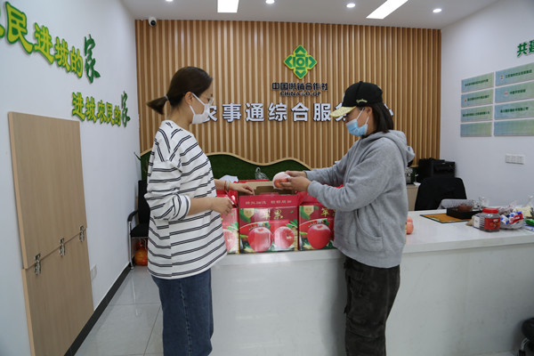 QQ图片20241028101500_副本.jpg