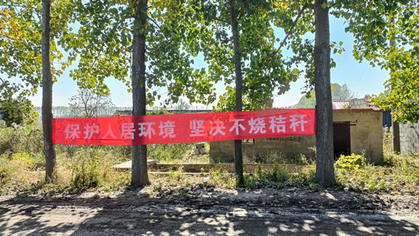 QQ图片20241028140827_副本.jpg