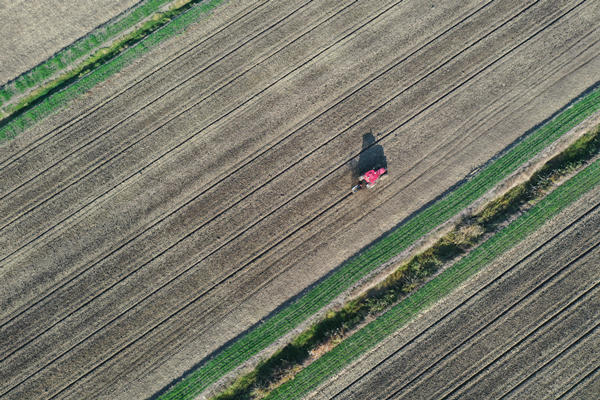 DJI_0735_副本_副本.jpg