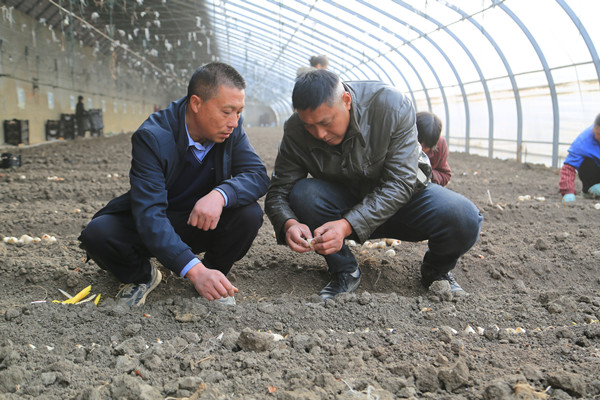 QQ图片20241203153036_副本.jpg