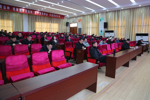 QQ图片20241220142823_副本.jpg