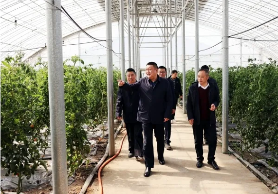 QQ图片20250416141911.png