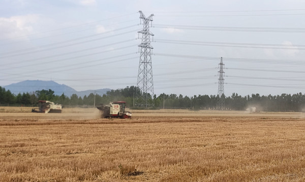 296f905636c0dfe3d9ad54e2d6f8c75e_副本.jpg