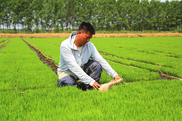 1749540879589044.jpg 244054BA09FE98E788B0416C0DA14F2A_副本_副本.jpg