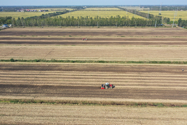 1761209280652220.jpg QQ图片20251023152313_副本.jpg