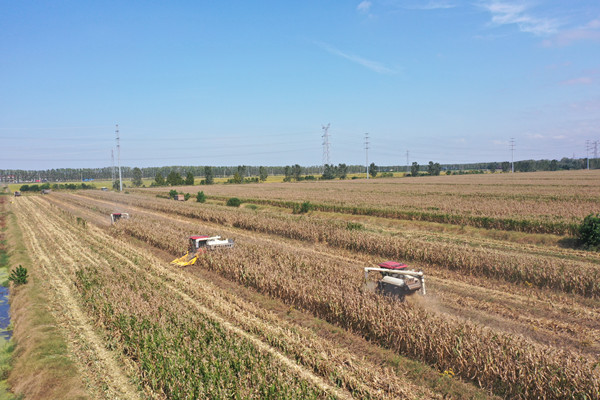 1761209287758951.jpg QQ图片20251023152324_副本.jpg