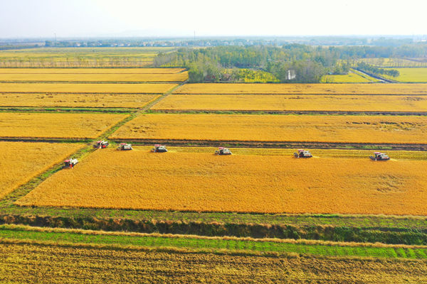 DJI_0548_副本.jpg