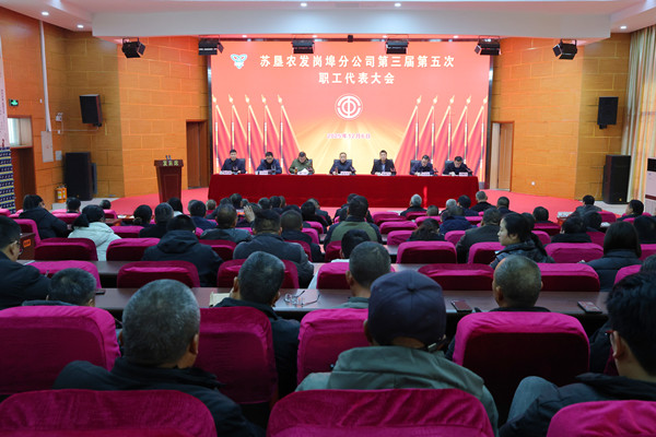 QQ图片20251208143930_副本.jpg