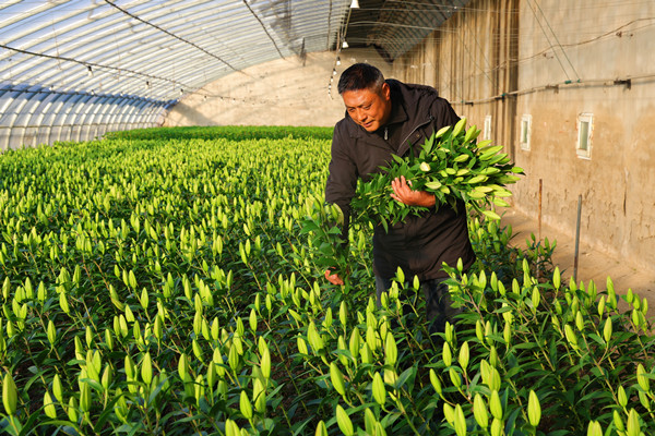 1768206020402731.jpg QQ图片20260112145408_副本.jpg