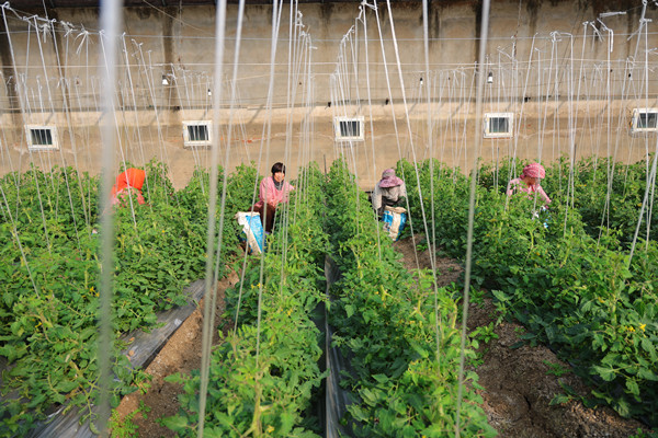 1773020279432124.jpg B23D88A6D4C372403ACED2616EECBA7D_副本.jpg