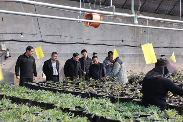 1773390354167266.jpg 2415C1D4053A1A65604B687C6A234AA0_副本.jpg