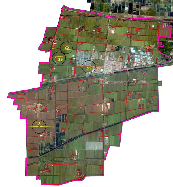 1774512693942658.jpg 杨树分布明细图_副本.jpg